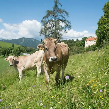 Hotel Landsitz Pichlschloss Neumarkt in Steiermark