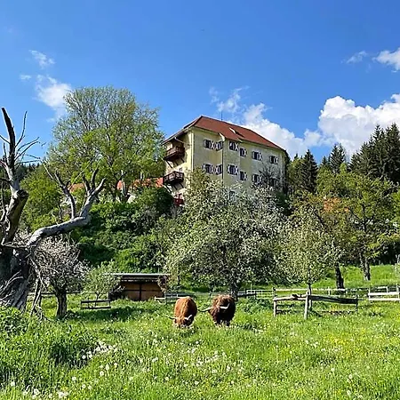 Landsitz Pichlschloss Hotel