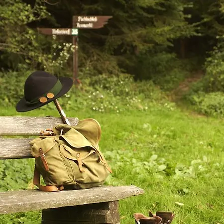 Отель Landsitz Pichlschloss 3*