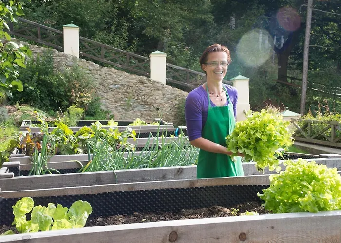 酒店 兰德匹克酒店